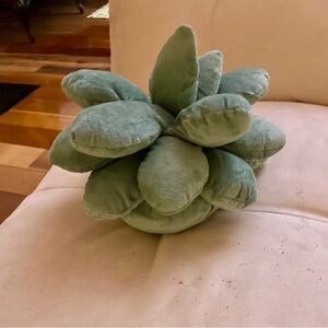 Plush Succulent Pillow